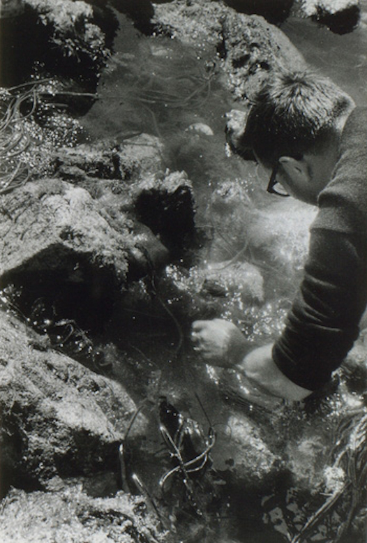 Image:JHL-1956-Album-113-B.jpg