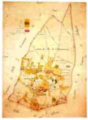 Tableau d'Assemblage du cadastre parcellaire de Montmartre - Vers 1850 - (Archives Nationales, Paris)