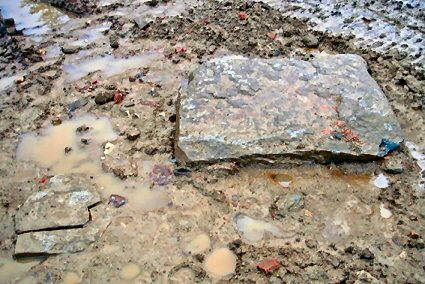 Image:TréodetVestiges2.jpg