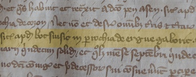 "Erge Gaboric", Cartulaire 51 de la BnF-Richelieu