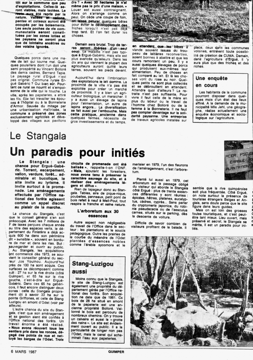 Image:OF-06-03-87An2000Quevilly-3.jpg