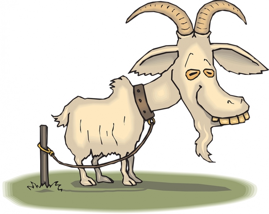 Image:Chèvre.jpg
