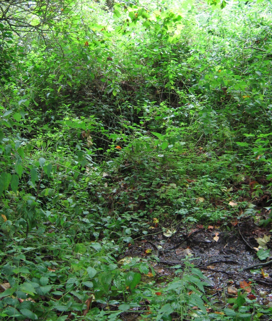 Image:FontaineKervreyen.jpg