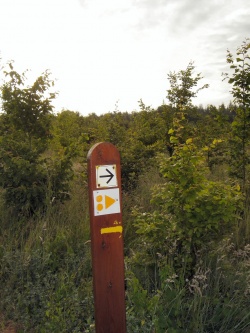 Chemin flèché