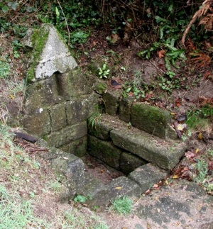 Fontaine St Kirio à Trédrez-Locquémeau