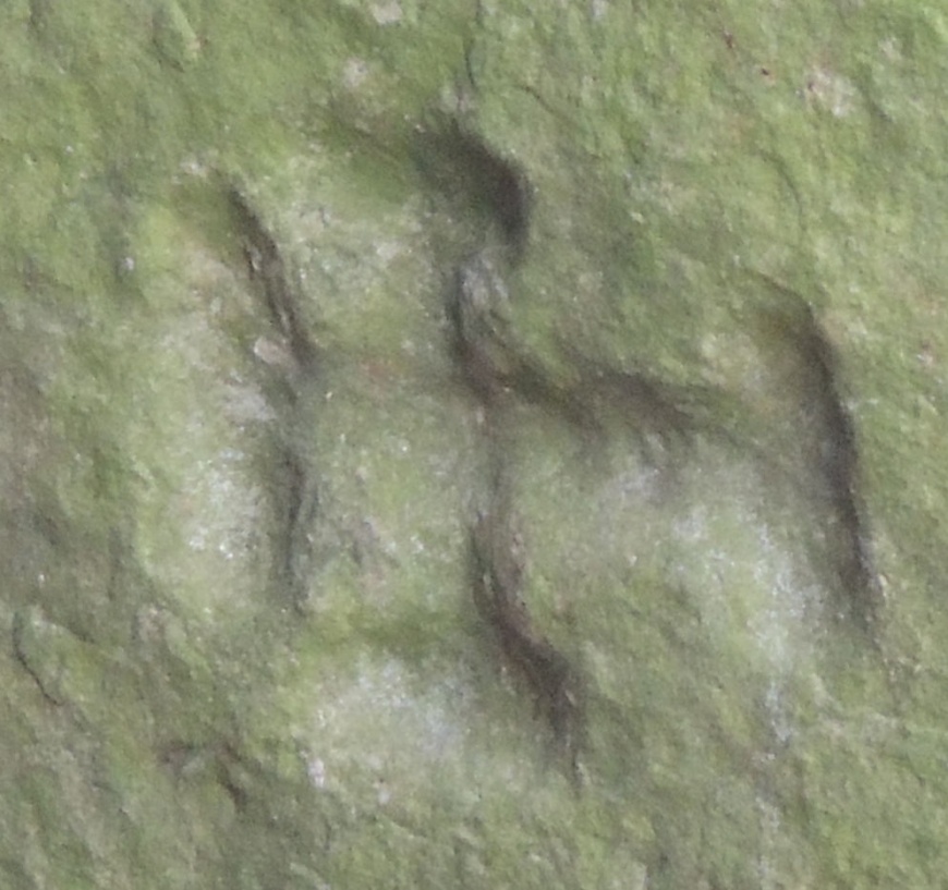 Image:CroixPotencéePont3.jpg