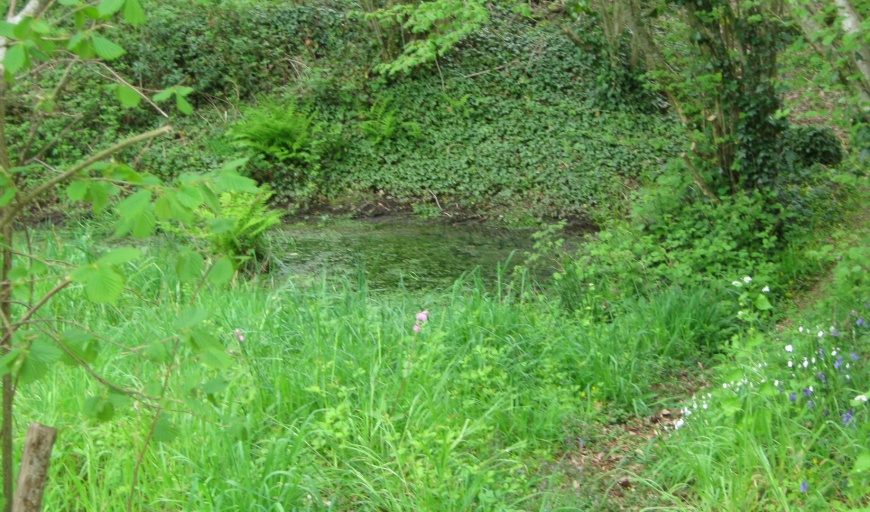 Image:FeunteunSantG-2.jpg