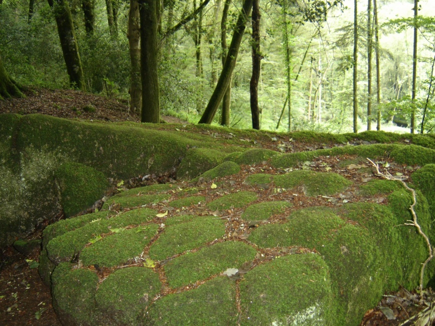 Image:StangLuzigou03.jpg