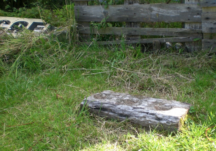 Image:BoultenFanchSter.jpg