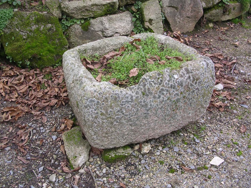 Image:Auge pennaneach.jpg