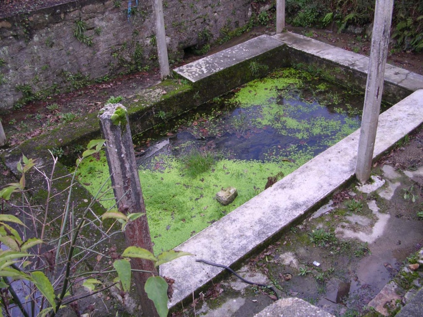 Image:Lavoir bourg.jpg