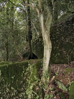 Grotte des nains de Stang-Luzigou