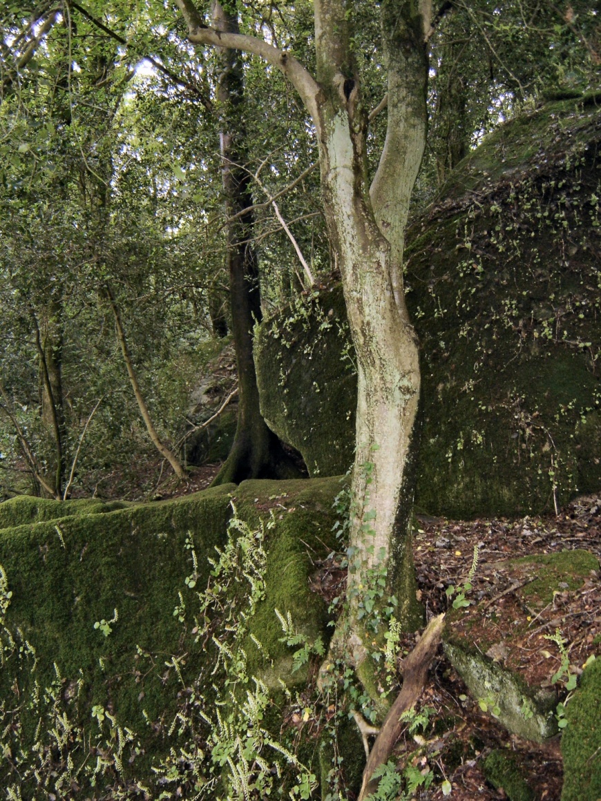 Image:StangLuzigou04.jpg