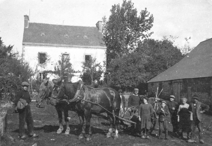 Image:ChevauxArrachagePDT.jpg