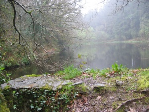 Etang de Belle-Isle-en-Terre