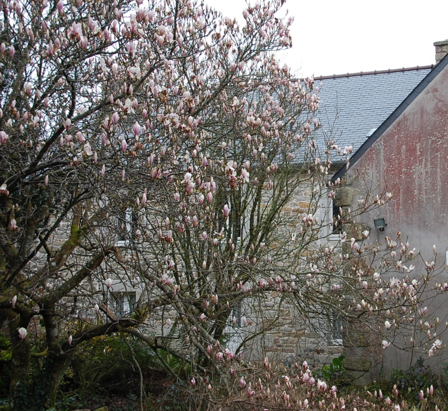 Image:Parc-al-lan-01.jpg