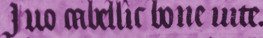 Image:YvoBoneVite.jpg