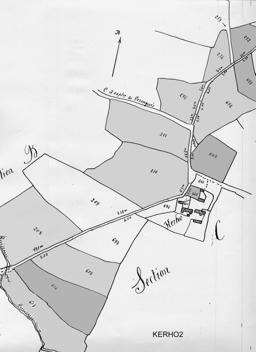 Image:Chemin kerho2.jpg
