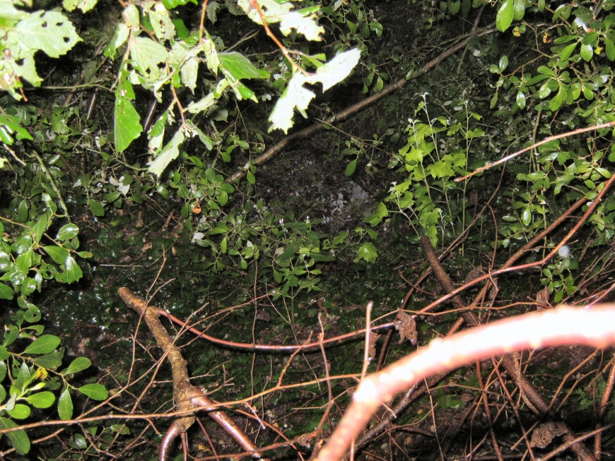 Image:FontaineKerdudal.jpg