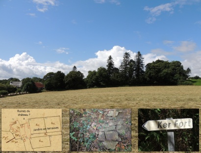 au pied des arbres, les terrasses de jardins et le talus empierré
