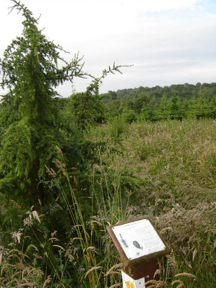 Image:Kerho05.jpg