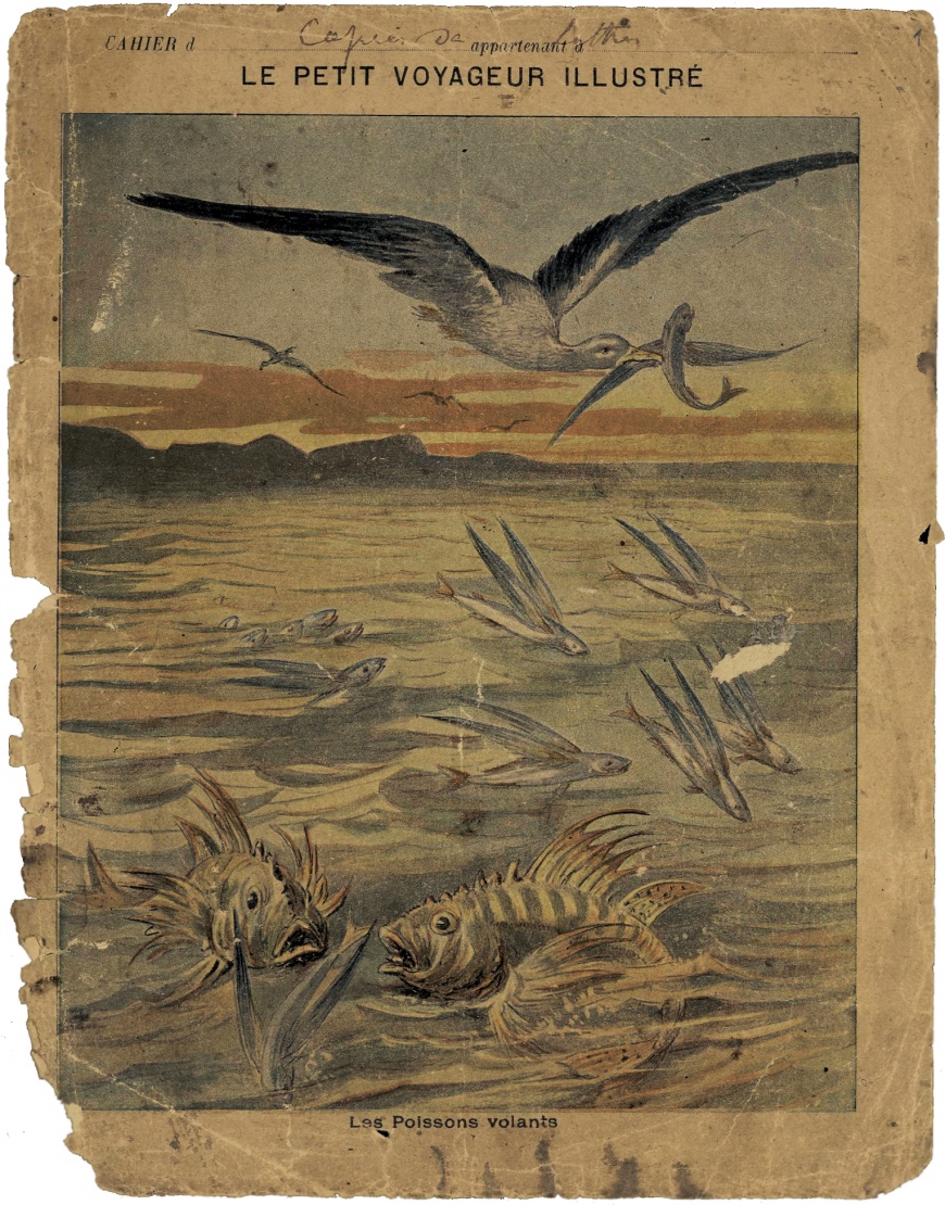Image:CahierJMD-CLP1899-1900 Couv.jpg