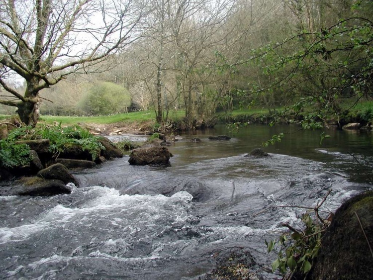 l'Odet au Stangala - Avril 2003