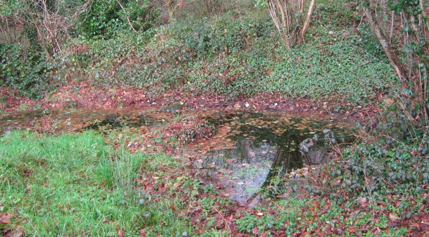 Image:FeunteunSantG-1.jpg