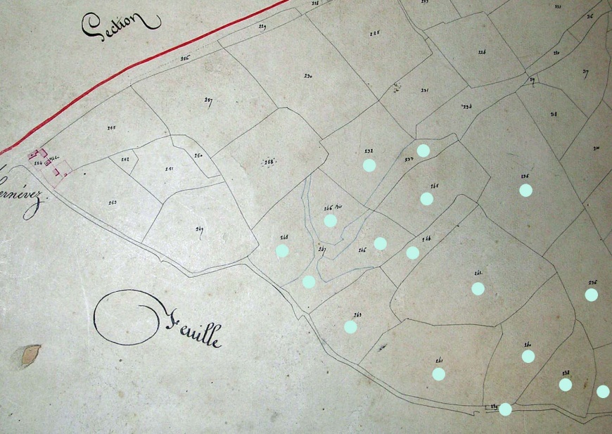 Image:Boden-haut.jpg