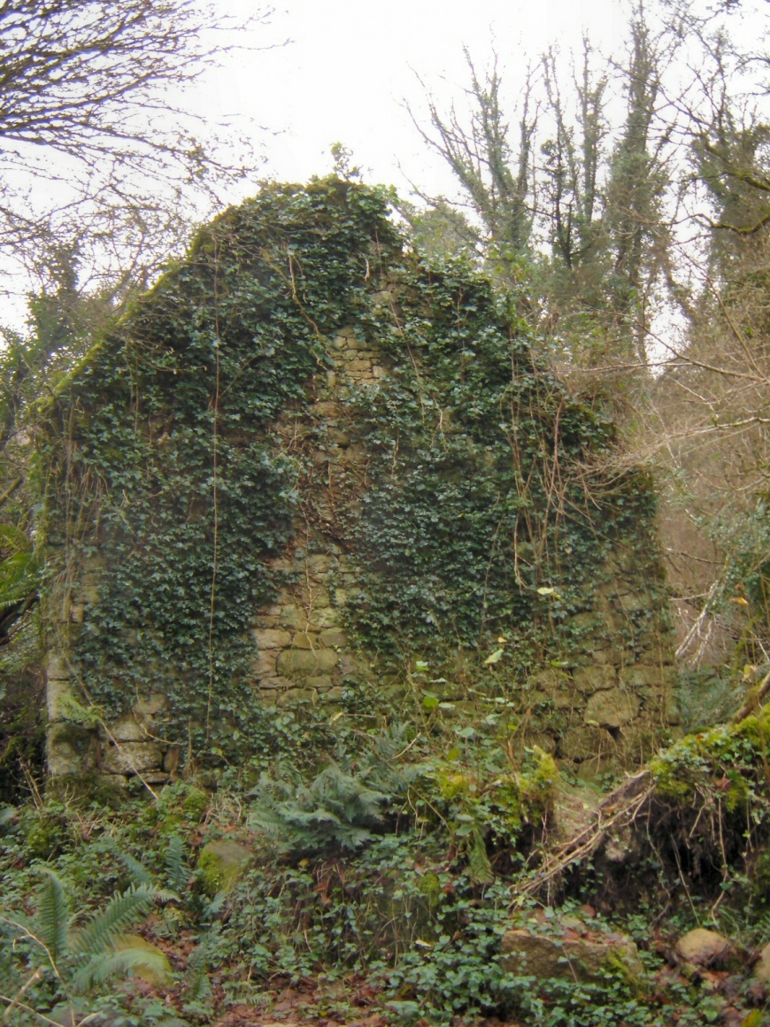 Image:Stangala02.jpg